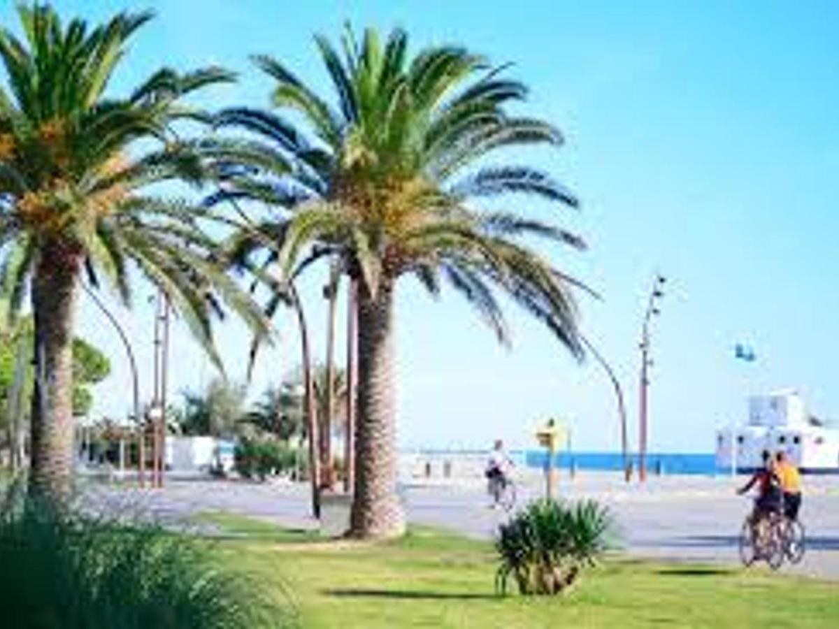 Pavillon Climatise Avec Terrasse, 10 Min. De La Plage, Parking Privatif Inclus, Tout Confort - Fr-1-732-45 Argelès-sur-Mer Dış mekan fotoğraf